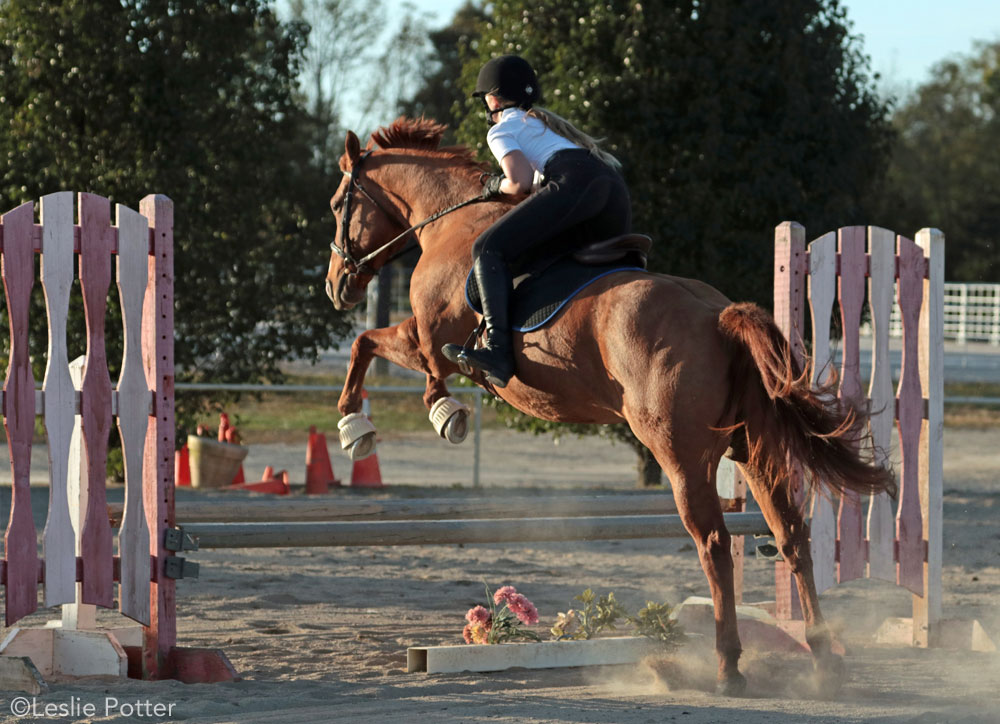 English Lesson: A Dozen Show Jumping Dos and Don’ts