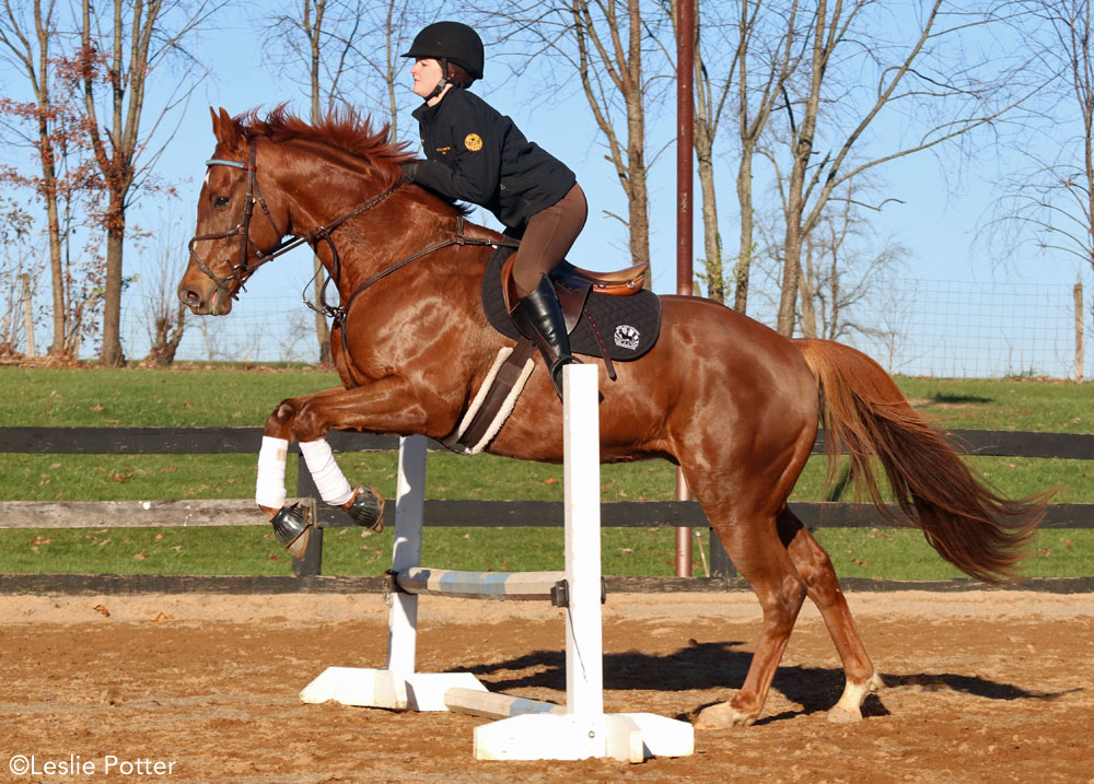 Keely Bechtol and her off-track Thoroughbred, Whiskey