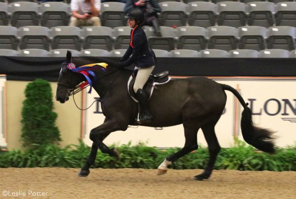 Winning the Maclay Finals