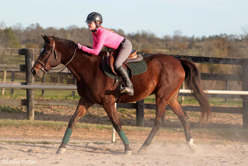 Practicing a long crest release at a trot