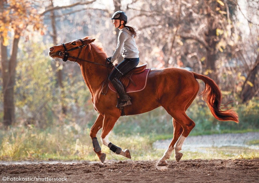 Horse tossing head under saddle