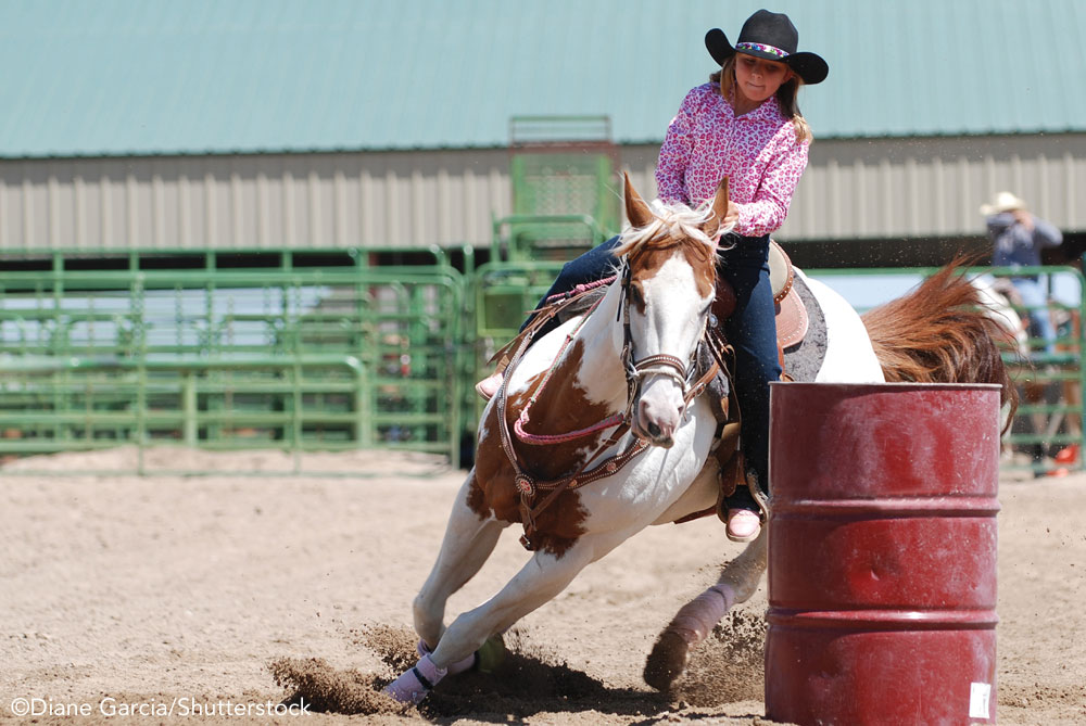 Young rider barrel racing