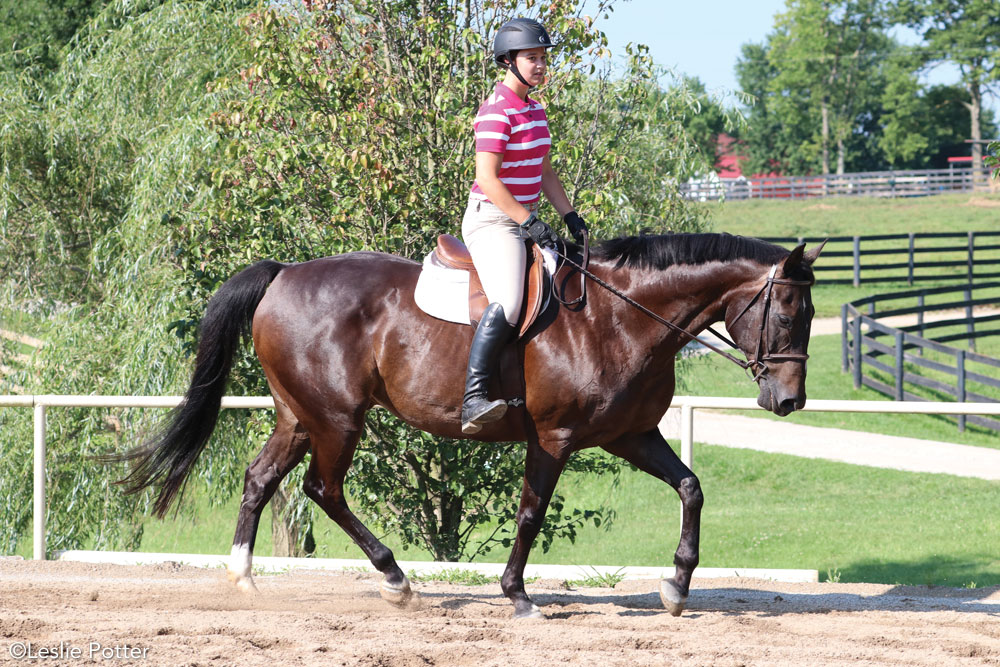 English rider riding without stirrups