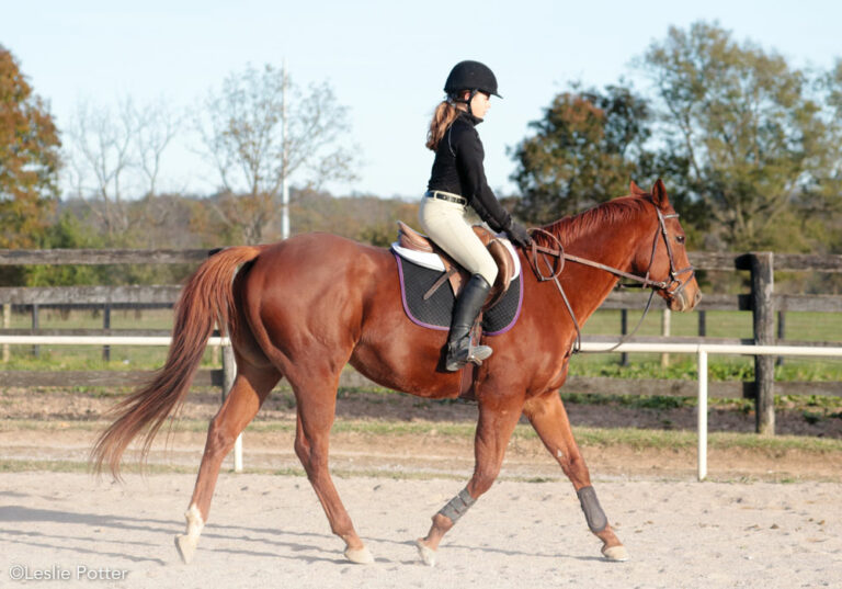 Perfect Your Posting Trot Young Rider