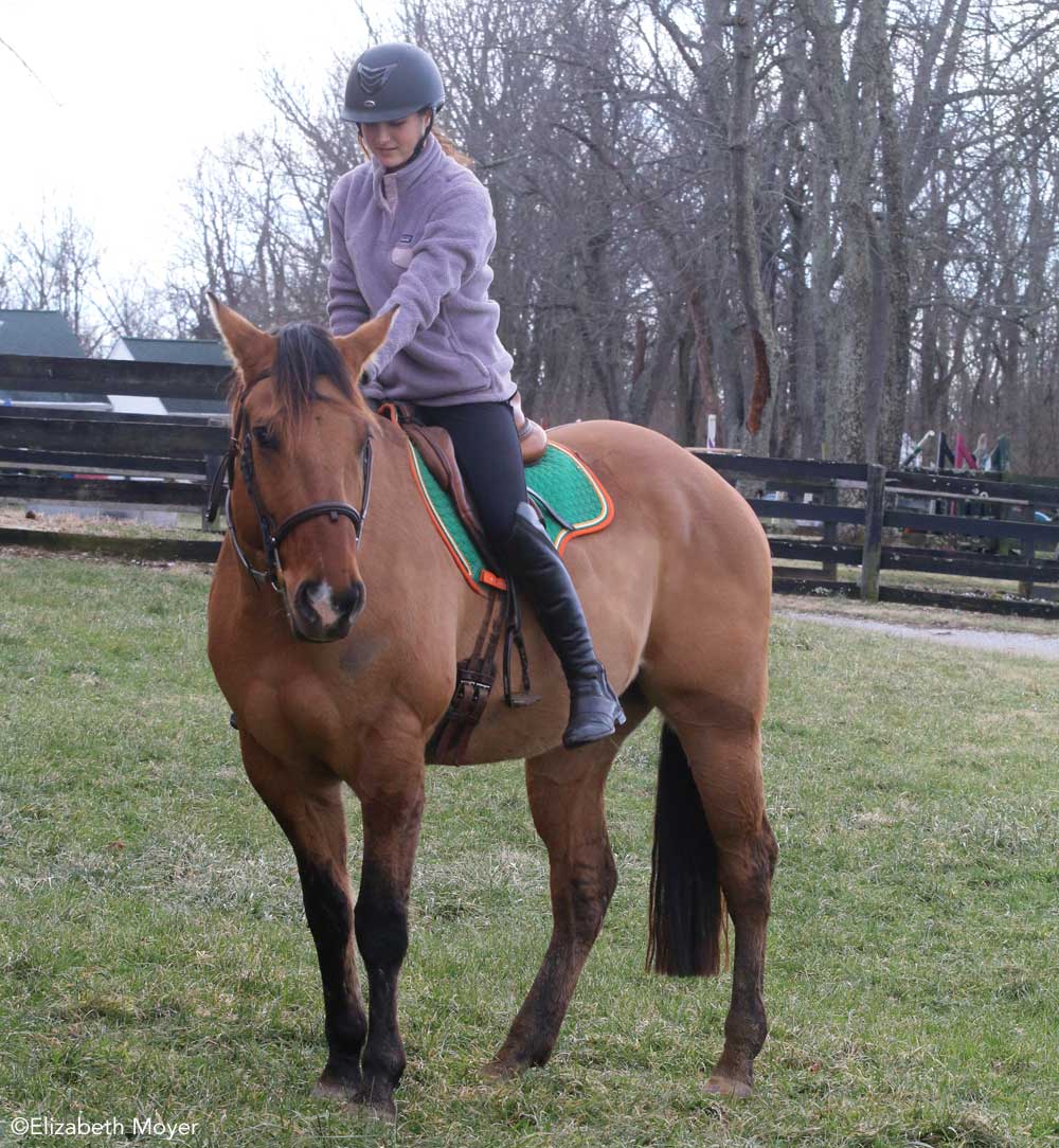 Rider preparing to dismount