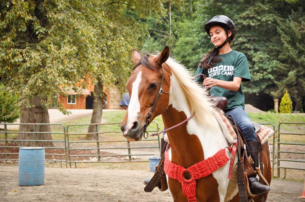 Summer horse camp