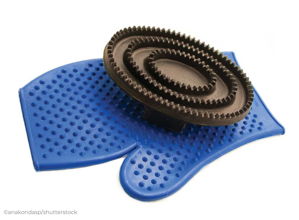 Curry comb and grooming mitt