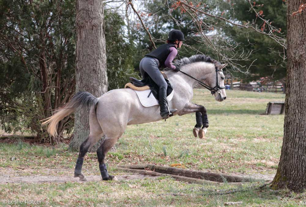 Jumping a cross-country ditch