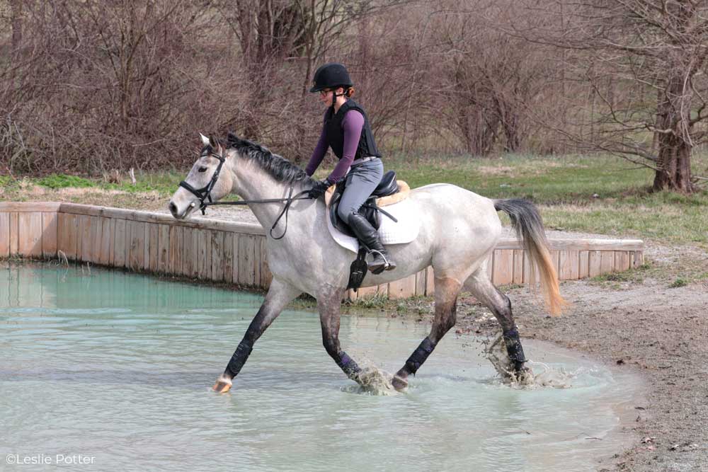 Trotting through a water obstacle