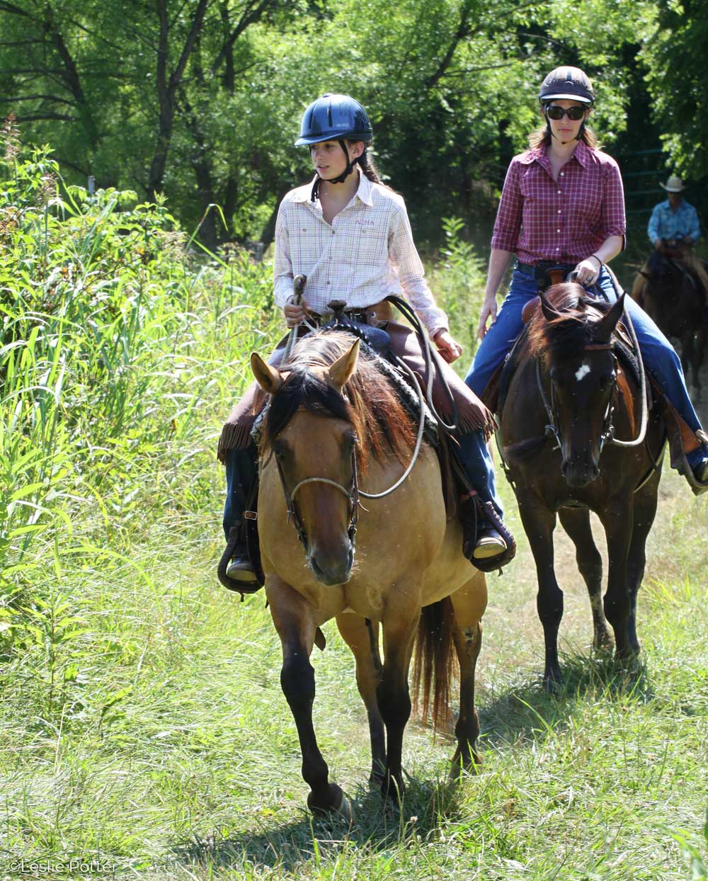 Trail riding up a hill