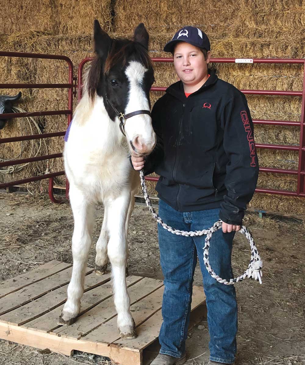 John and his Chincoteague Pony, Bandit