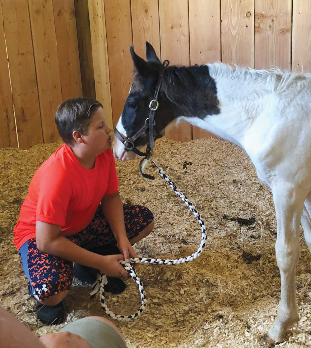 John and Bandit