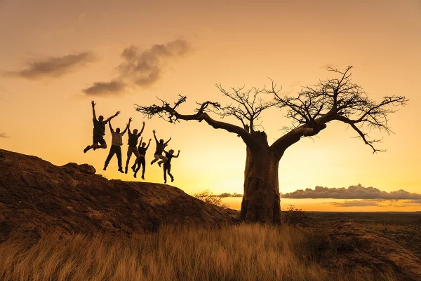 The group leaps for joy alongside a tree during an afternoon sunset.