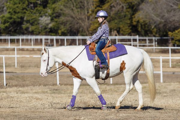 A young rider asks her horse for the extended walk in western tack