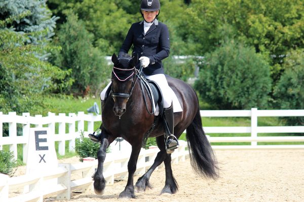 A rider completes a dressage test