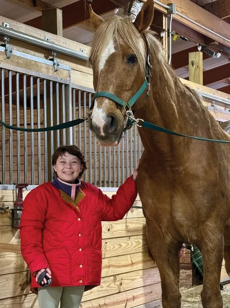 Sis and Moose on her first day back at the barn after her transplant.