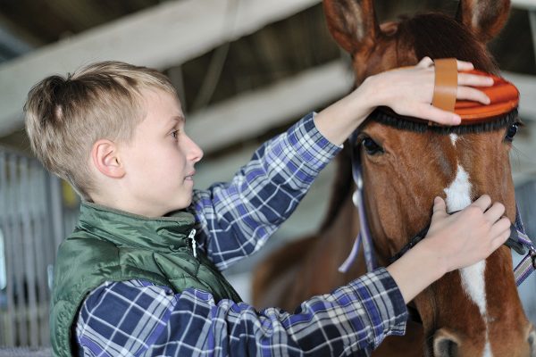 A young boy brushes his pony's face