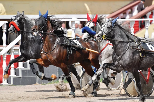 An Orlov Trotter horse race.