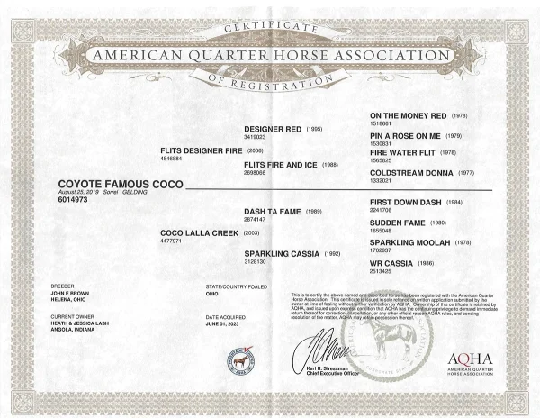A Quarter Horse pedigree.