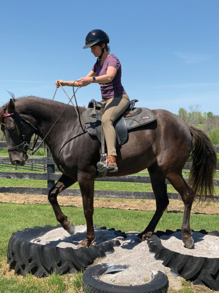 A horse and rider complete a technical trail obstacle