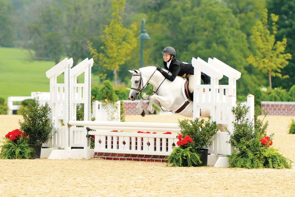 A Section B Welsh Pony jumps in a show ring