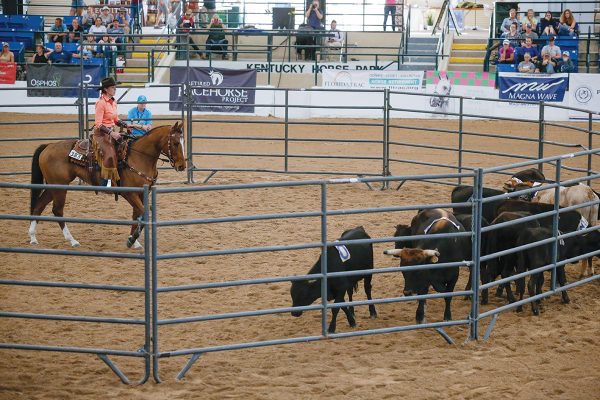 A horse and rider competing in ranch work at the Thoroughbred Makeover.