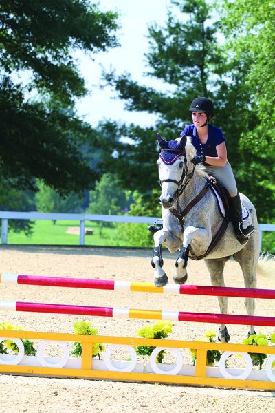 horse show turnout