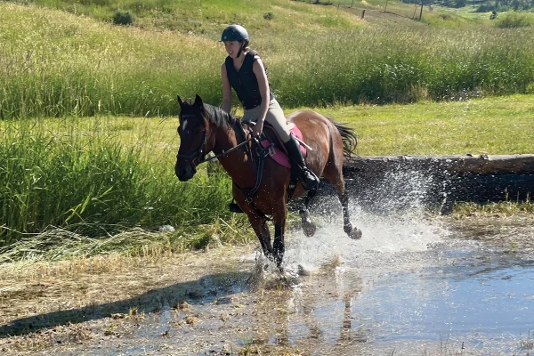 Leslie galloping a Mustang through water. She found a real love for Mustangs through Wild Rose Mustang Advocacy Group's Youth Trainer Program.