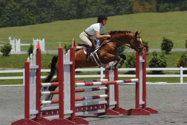 A horse and equestrian jumping