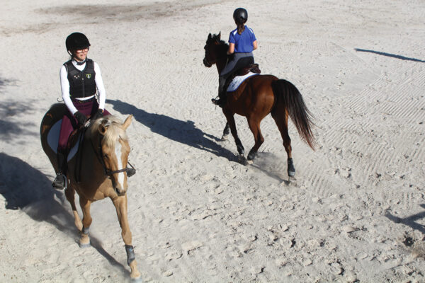 Two riders practicing arena etiquette by passing each other safely on their ponies