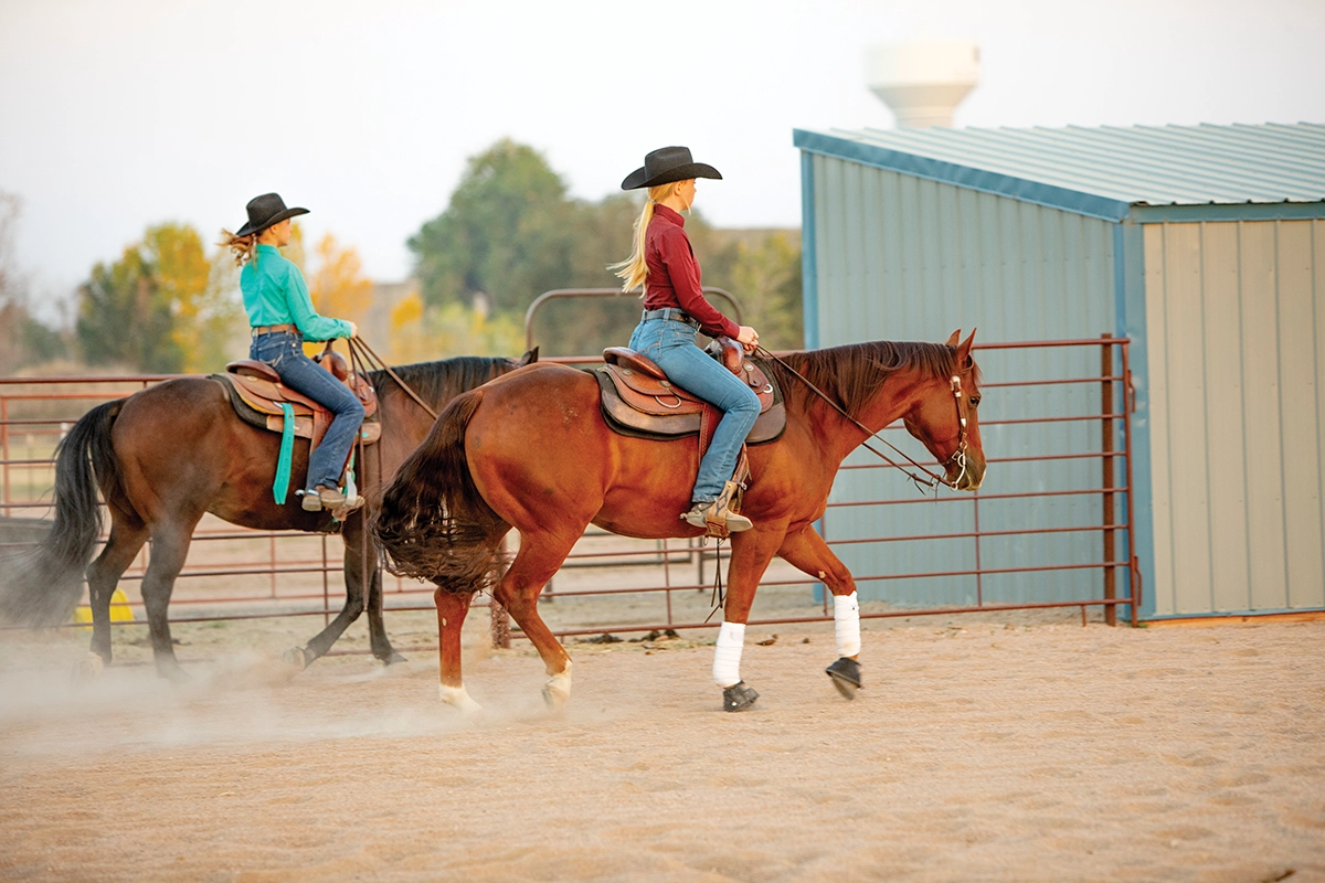 Practice Proper Arena Etiquette and Safety