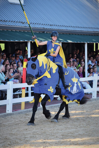 A jousting demonstration