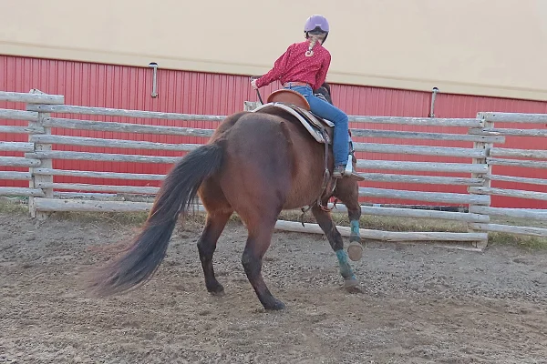 Rosie practicing a rollback with Honky as a key barrel horsemanship principle.