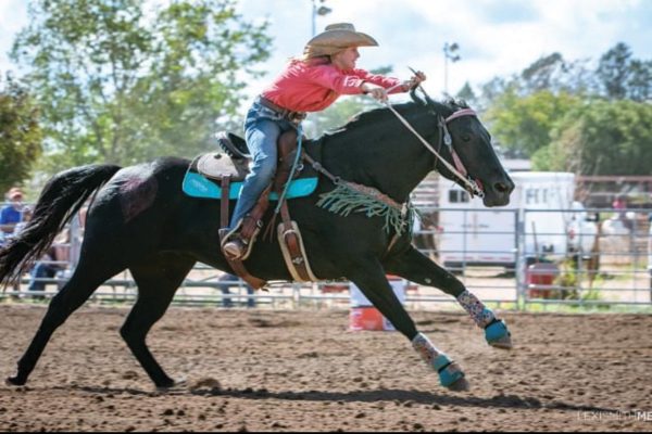 A girl galloping her horse at a rodeo