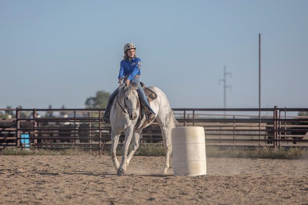 A young rider practices barrel racing drills