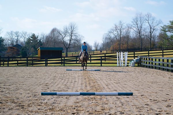 A horse and rider ride a line of poles