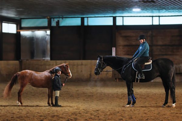 A size comparison of a Caspian Horse and a Thoroughbred
