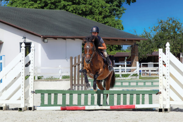 A rider finds a perfect distance to her jump by counting strides