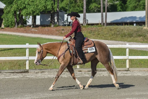 An equestrian riding a draw horse at a show.