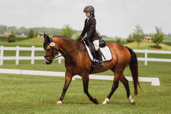 A rider warming her horse up at a show