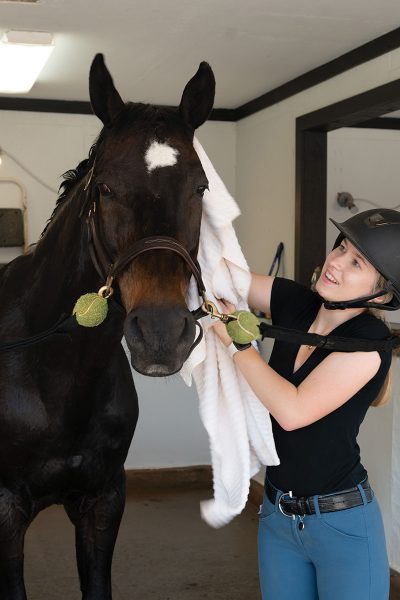 A student grooms a horse