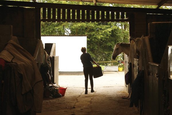 A girl feeds her horse. This responsibility is a life lesson learned from being an equestrian.