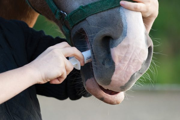 Giving dewormer.