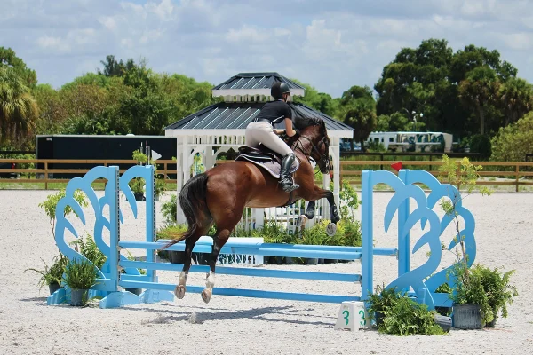 A young rider jumping at her first horse show.