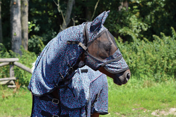 A horse wearing fly-wear as a form of fly control.