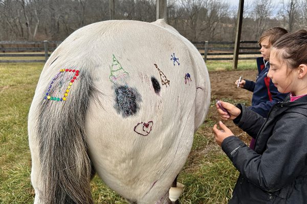 Young girls decorating their horse with glitter.