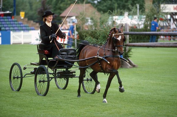A Hackney carriage driving.
