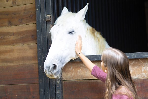 A girl pets her horse and observes its behavior. This is one way how to tell if your horse is sick.