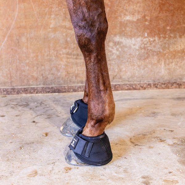 Bell boots on a horse's legs.