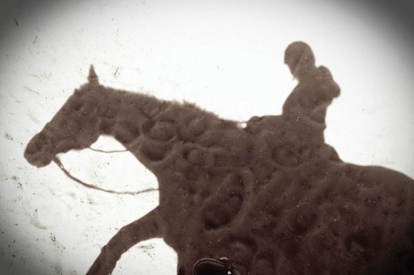 A silhouette of a horse and rider